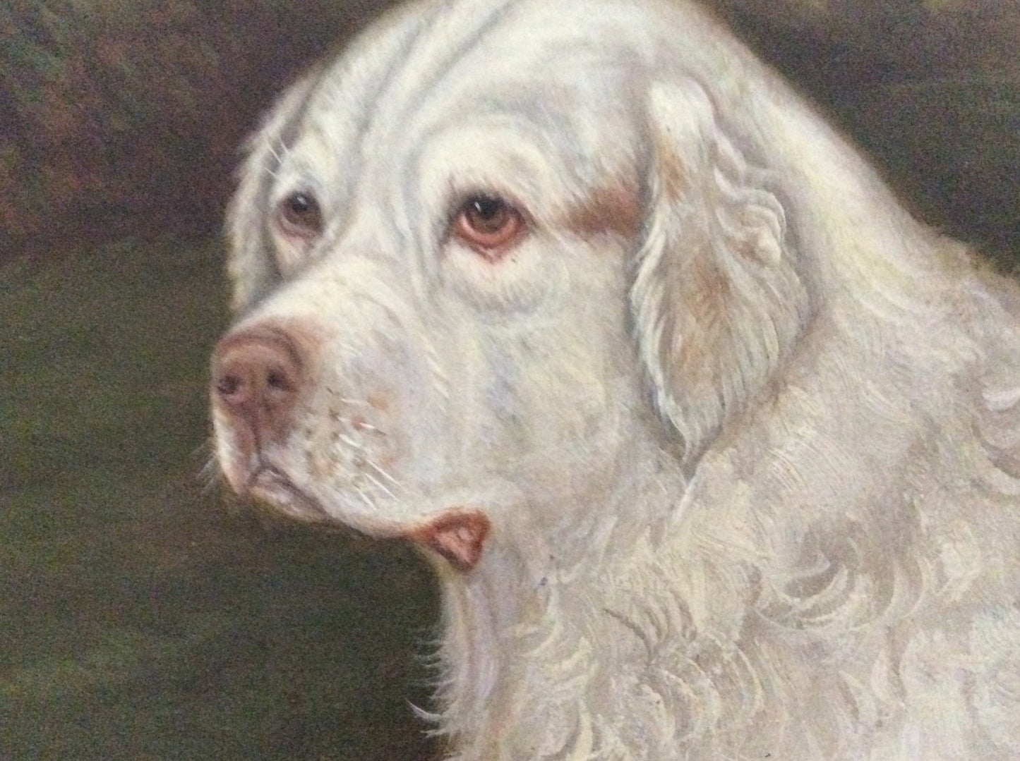 William Albert Clark, clumber spaniel, dog oil painting.