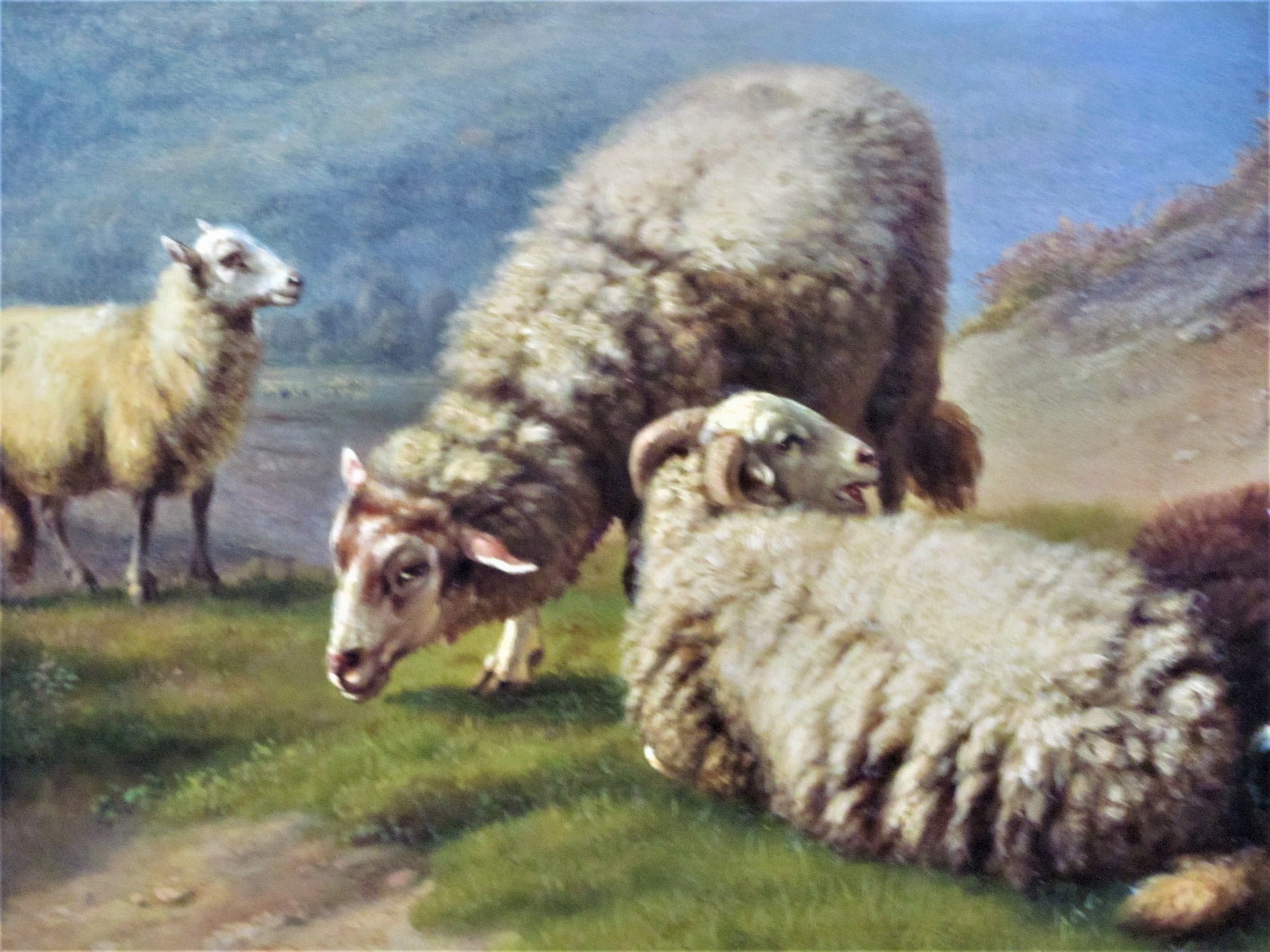 oil painting sheep