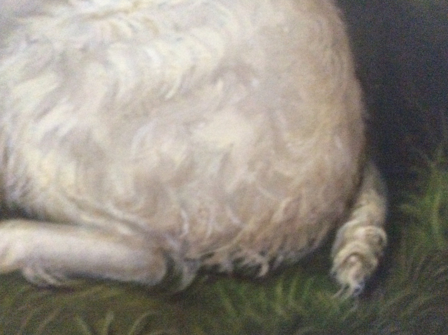 William Albert Clark, clumber spaniel, dog oil painting.