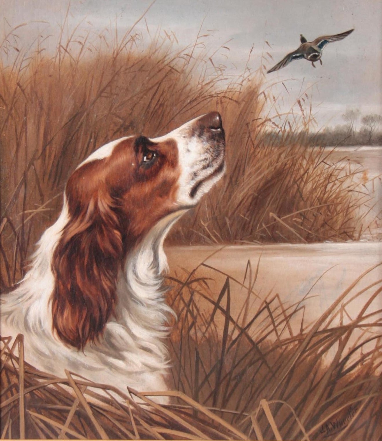 John Alfred Wheeler Springer Spaniel dog flushing a duck, landscape oil -